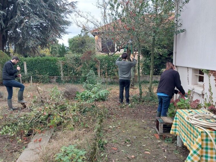 Premier jardinage