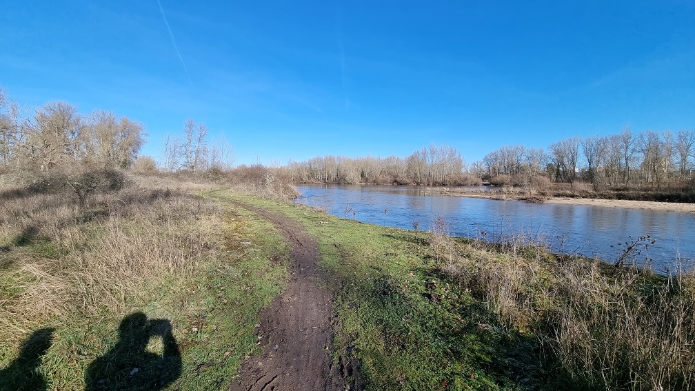 Balade au sentier des castors