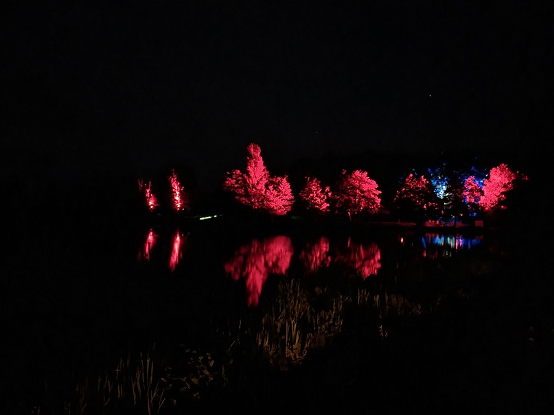 Lumières sur les Ozières