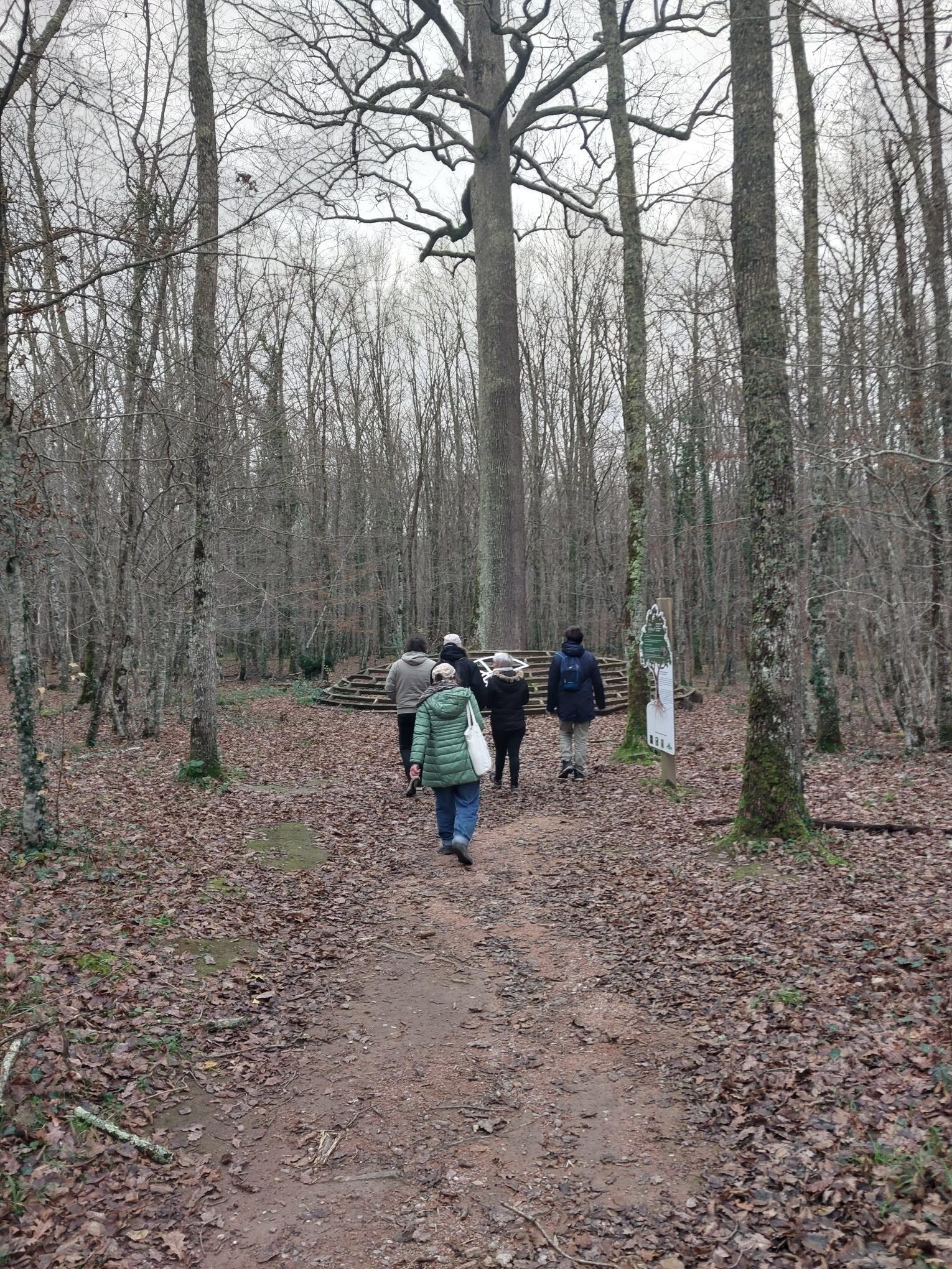 La forêt de Tronçais