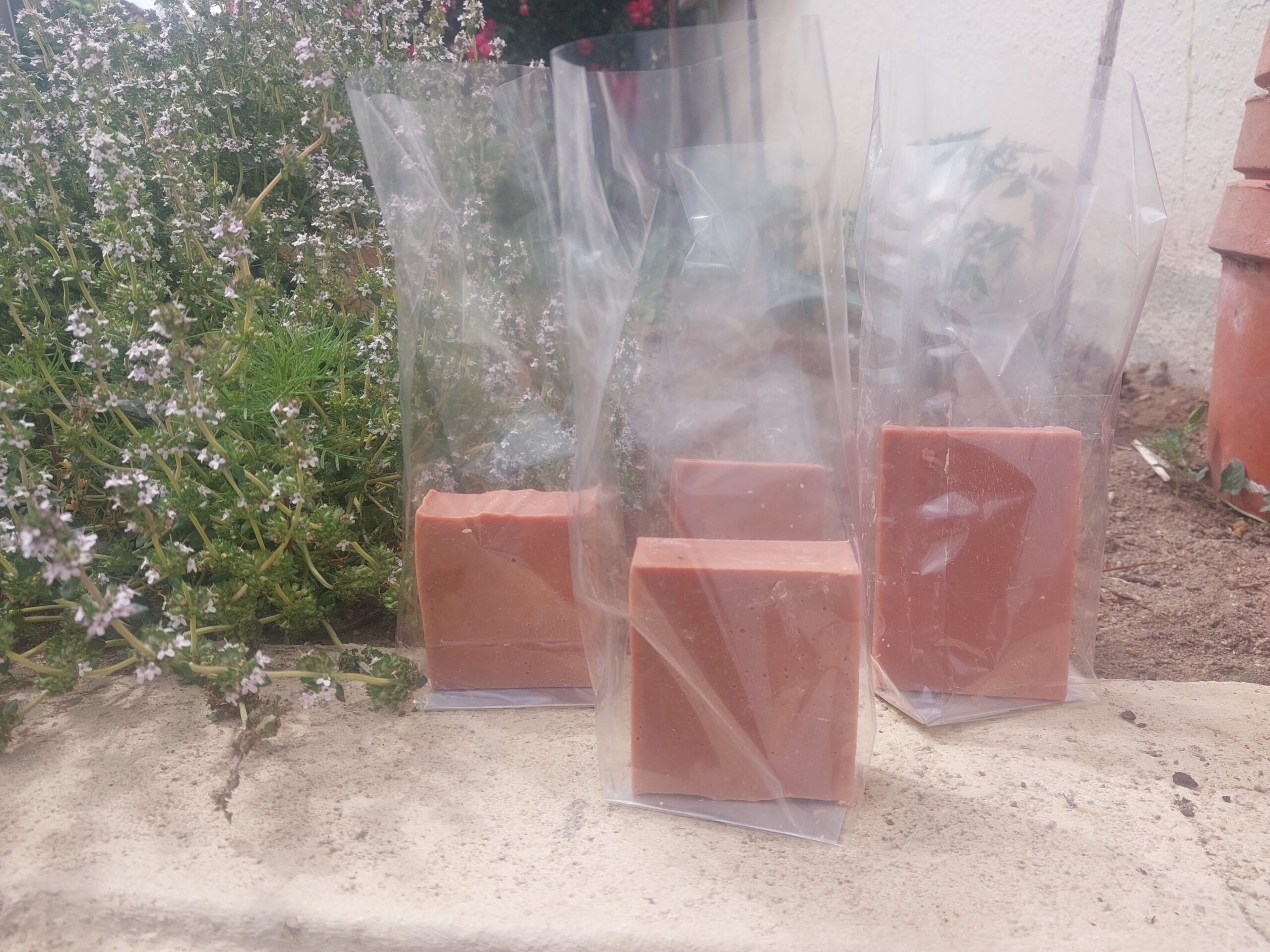 Le GEM vous passe un savon !