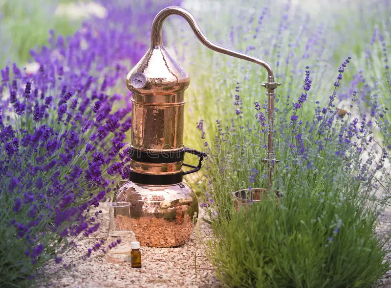 Etre au parfum du savon
